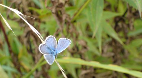 Projekte - BUND Naturschutz in Bayern e.V.
