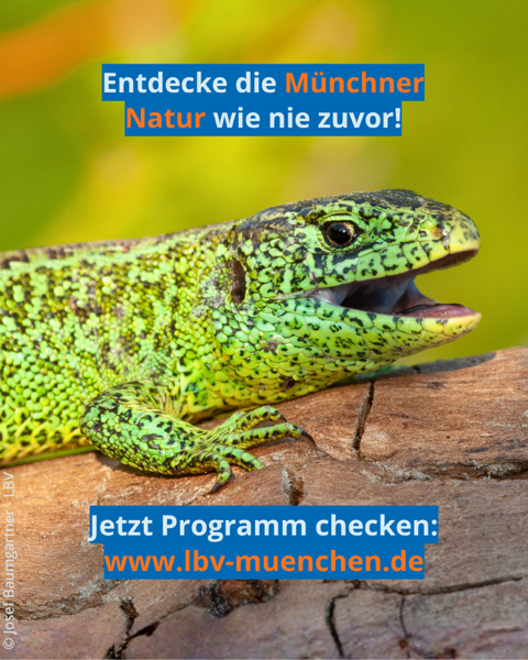 Langer Tag der Stadtnatur